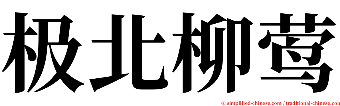 极北柳莺 serif font