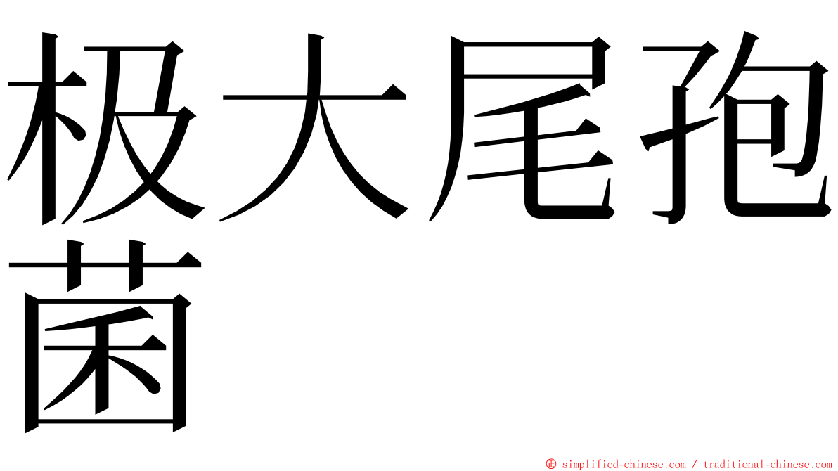 极大尾孢菌 ming font