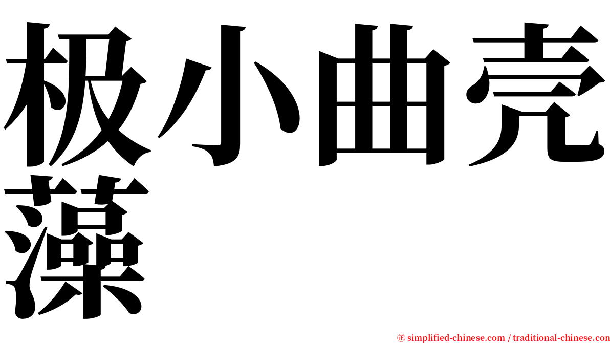 极小曲壳藻 serif font