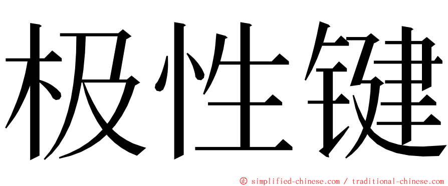 极性键 ming font