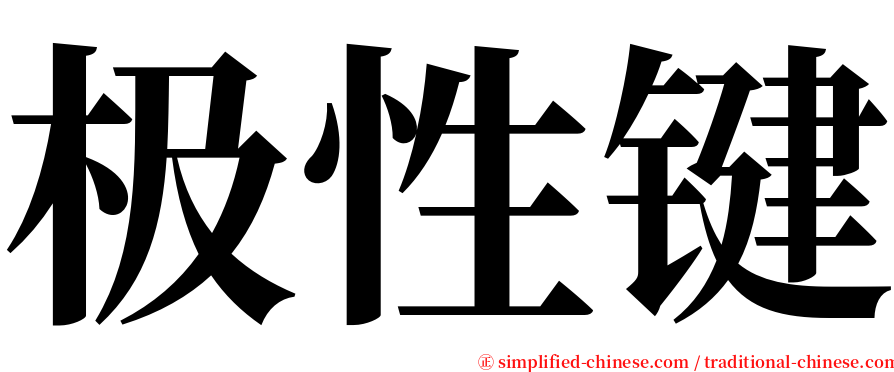 极性键 serif font