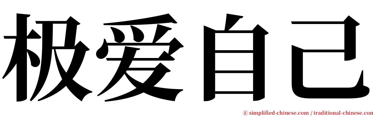 极爱自己 serif font