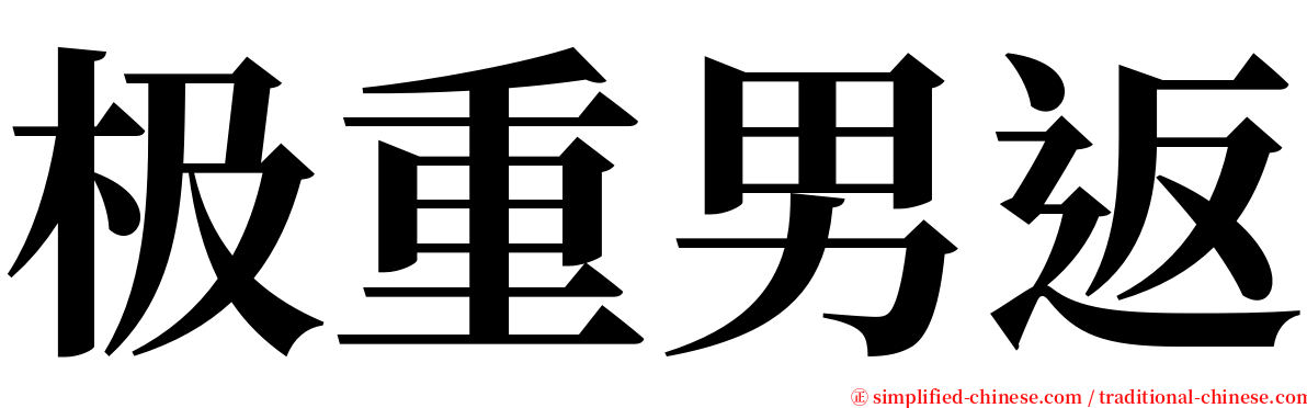 极重男返 serif font