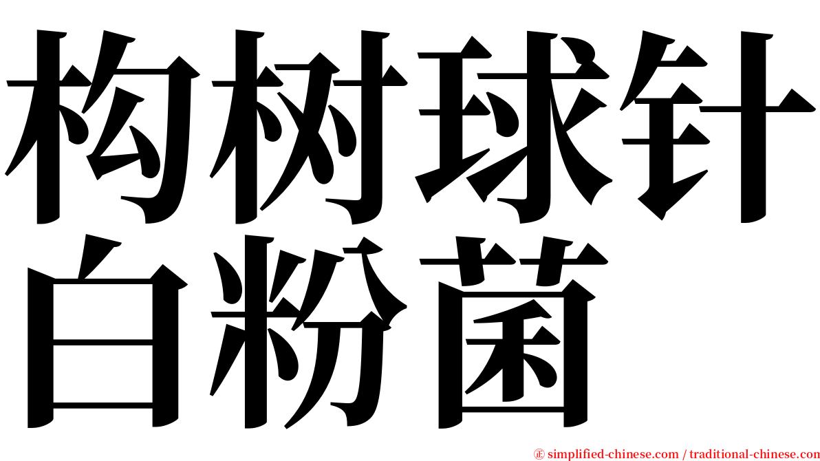 构树球针白粉菌 serif font