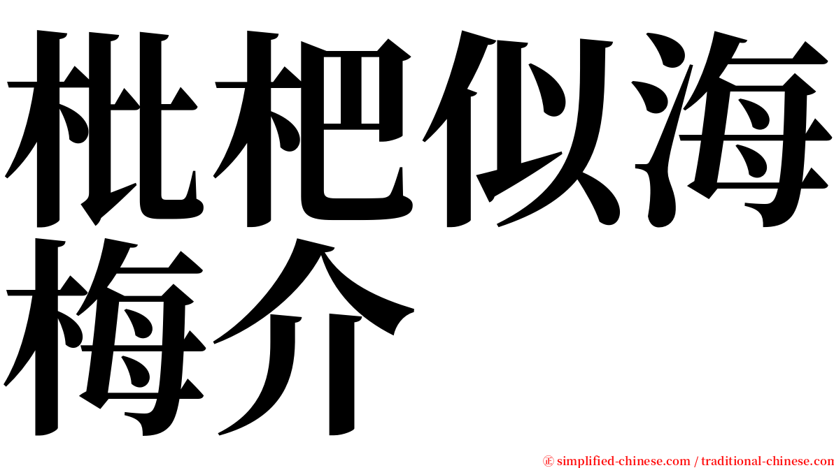 枇杷似海梅介 serif font