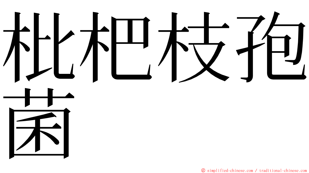 枇杷枝孢菌 ming font