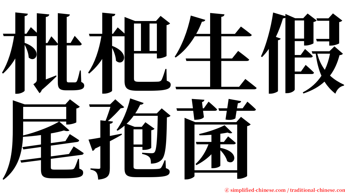 枇杷生假尾孢菌 serif font