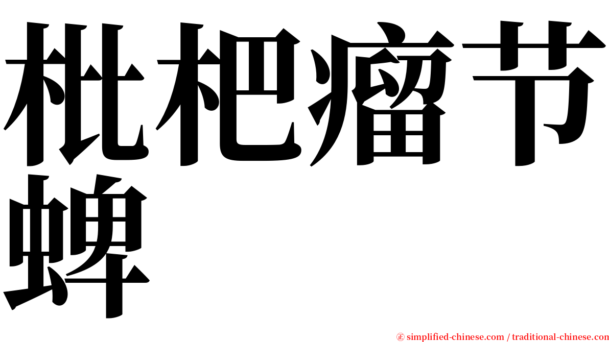 枇杷瘤节蜱 serif font