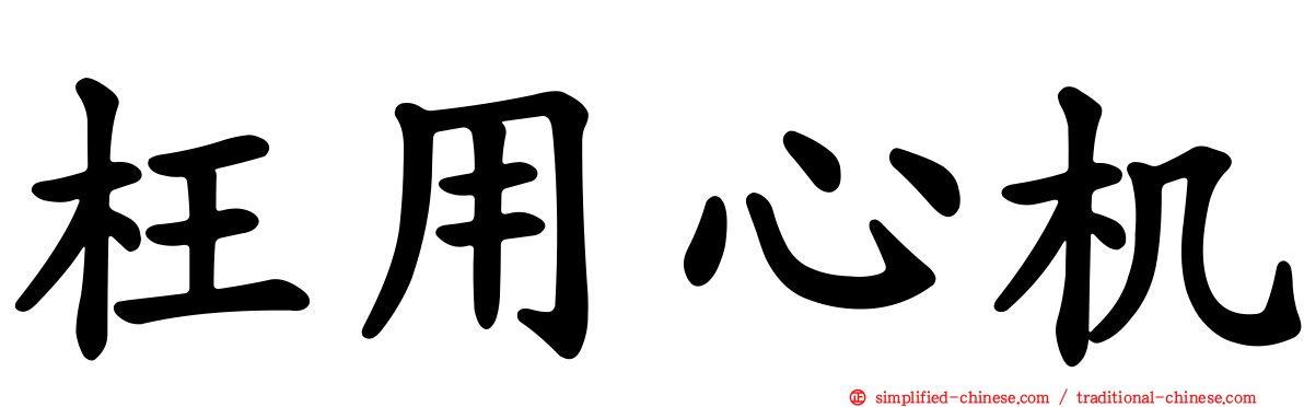 枉用心机