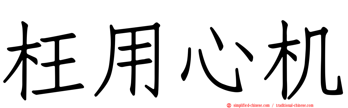 枉用心机