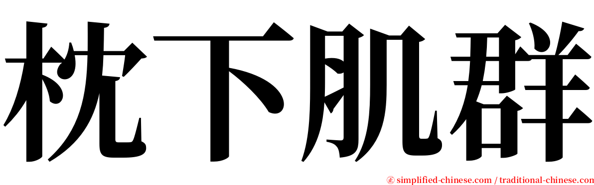 枕下肌群 serif font