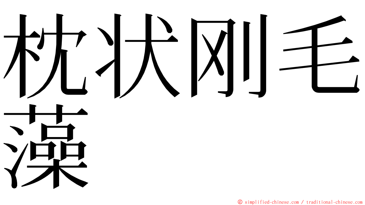 枕状刚毛藻 ming font