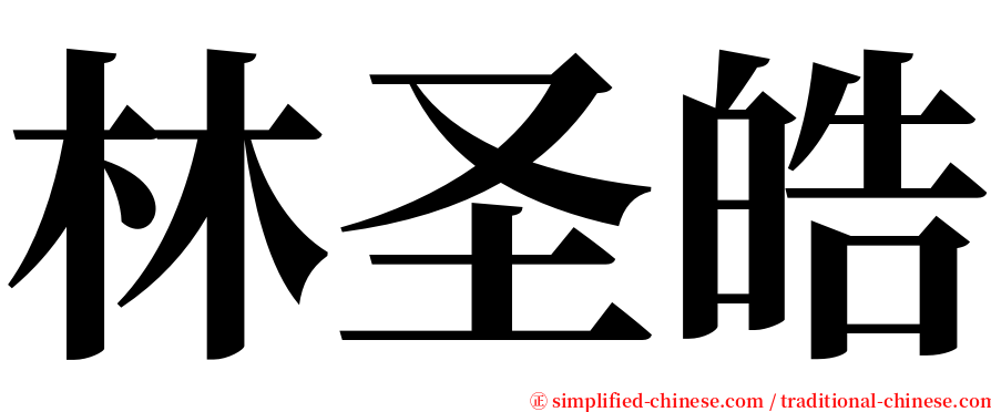 林圣皓 serif font