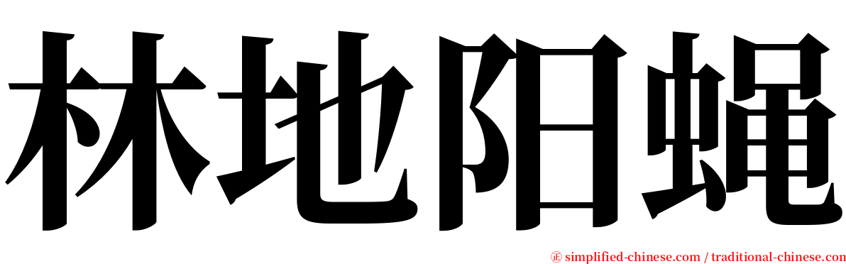 林地阳蝇 serif font