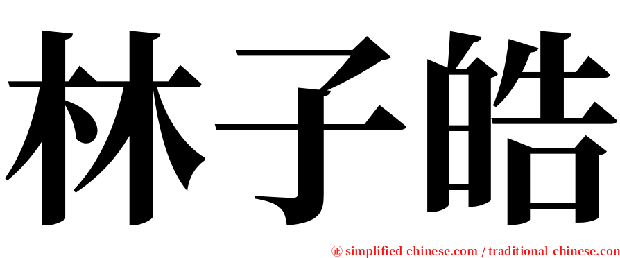 林子皓 serif font