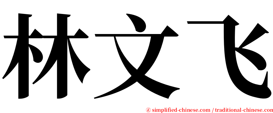 林文飞 serif font