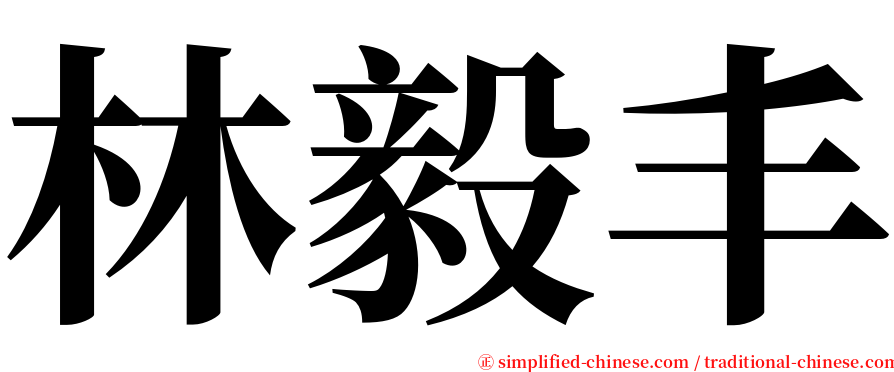 林毅丰 serif font