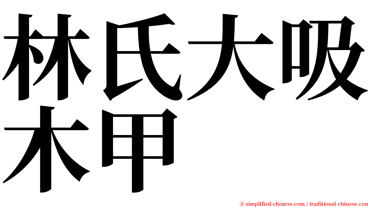 林氏大吸木甲 serif font