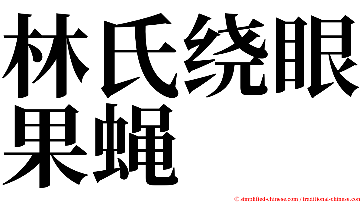 林氏绕眼果蝇 serif font