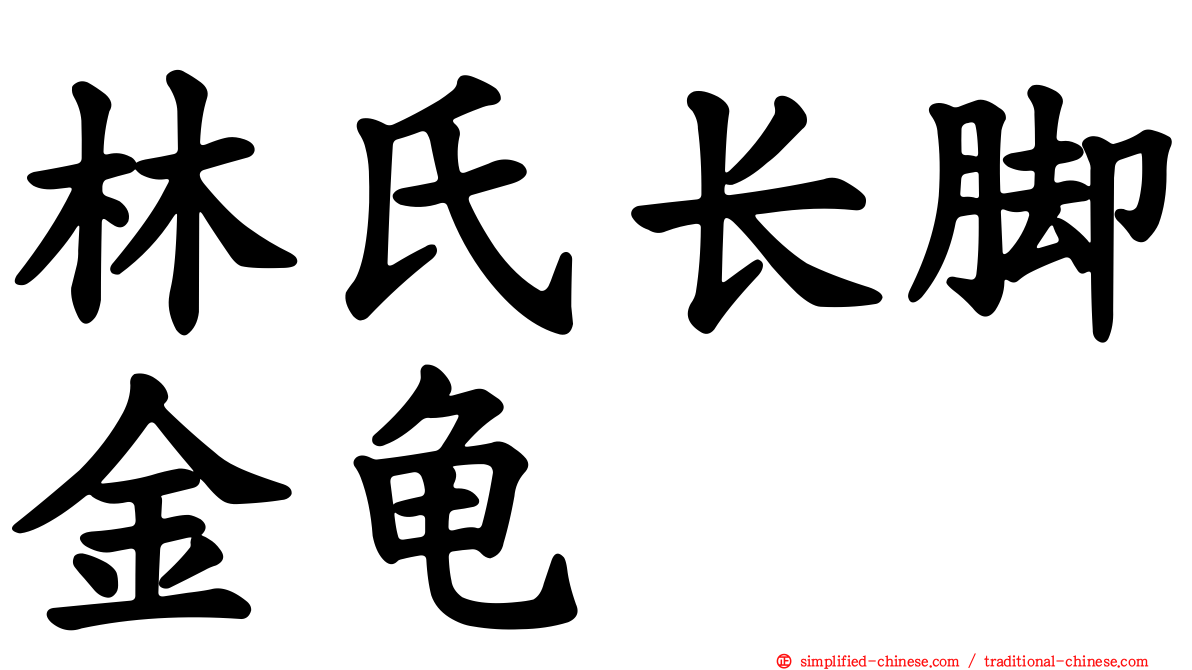 林氏长脚金龟