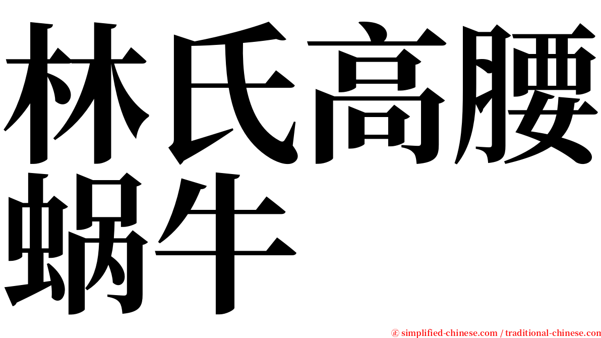 林氏高腰蜗牛 serif font