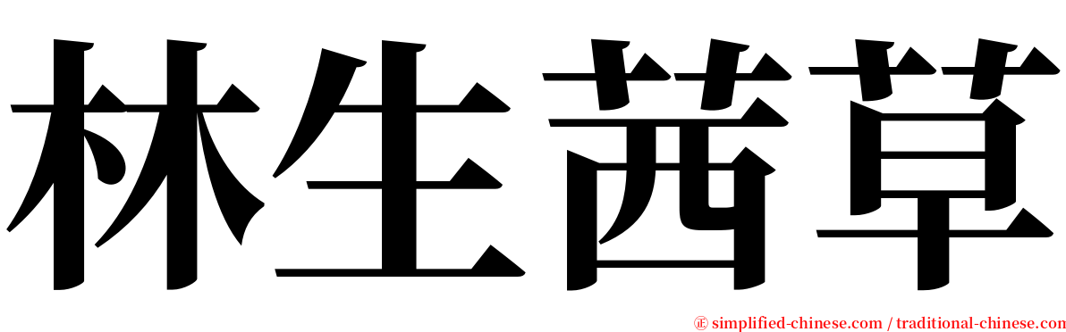 林生茜草 serif font