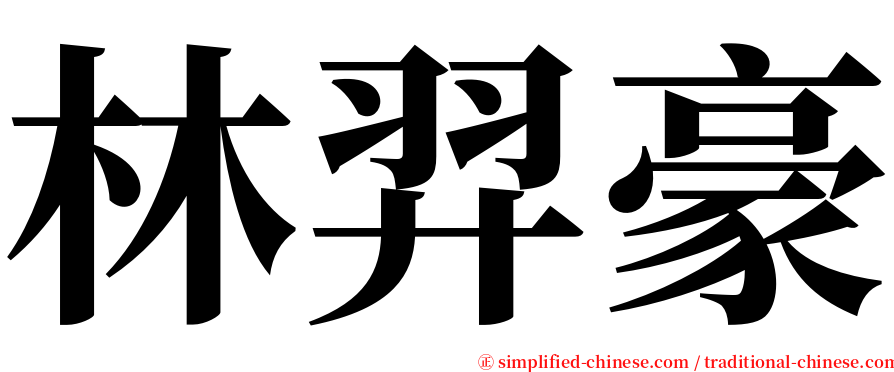 林羿豪 serif font