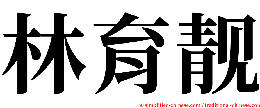 林育靓 serif font