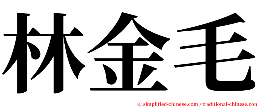 林金毛 serif font