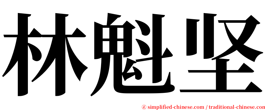 林魁坚 serif font