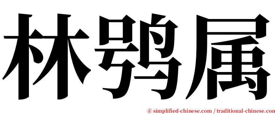 林鸮属 serif font