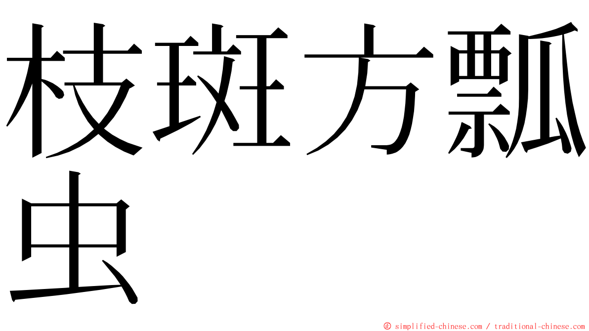 枝斑方瓢虫 ming font