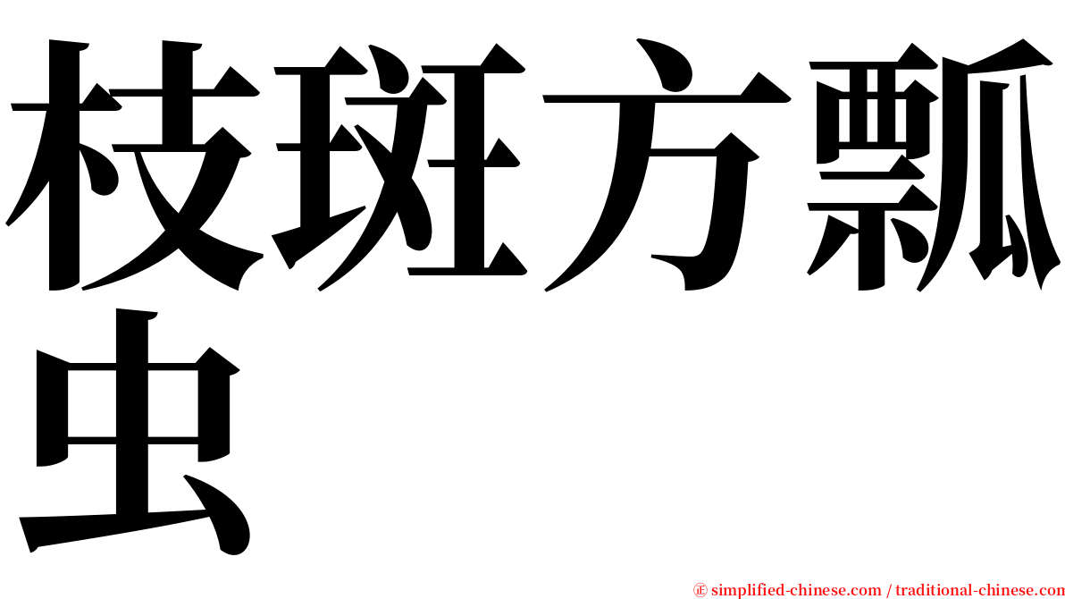 枝斑方瓢虫 serif font