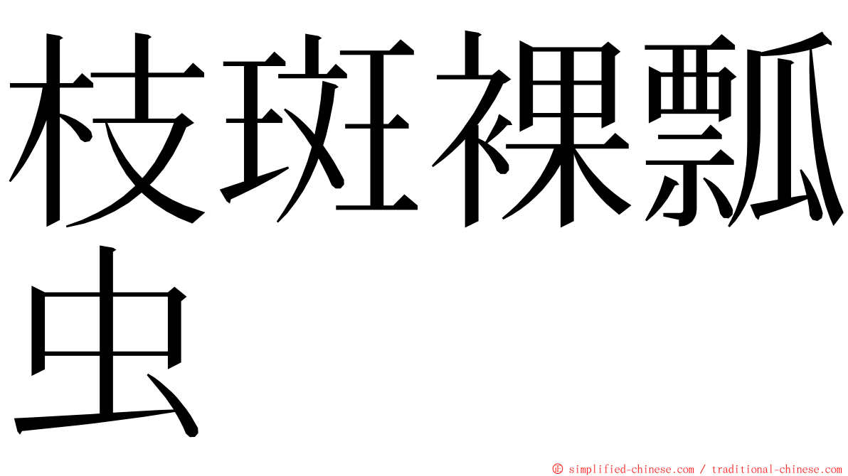 枝斑裸瓢虫 ming font