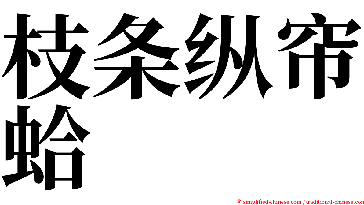 枝条纵帘蛤 serif font