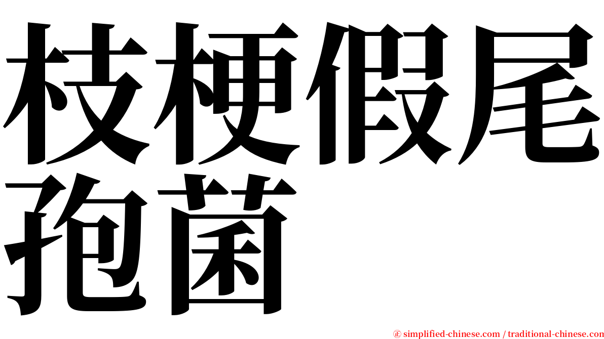 枝梗假尾孢菌 serif font