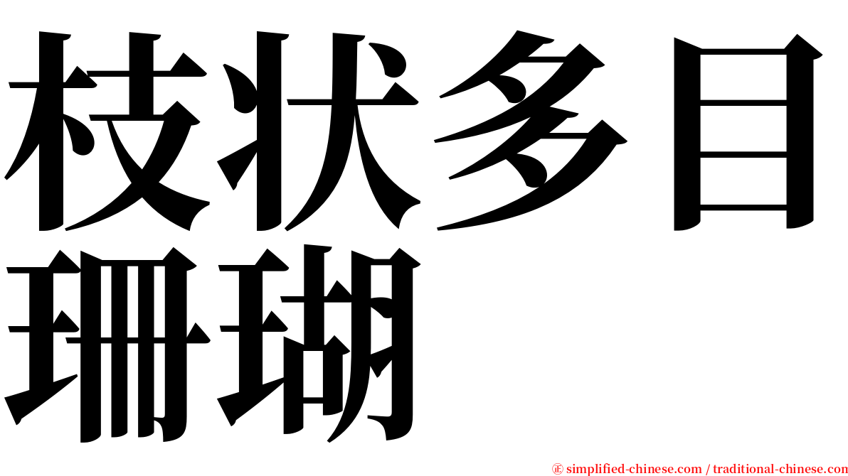 枝状多目珊瑚 serif font