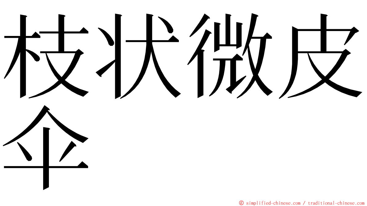 枝状微皮伞 ming font