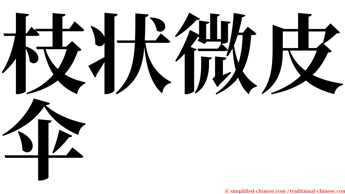 枝状微皮伞 serif font