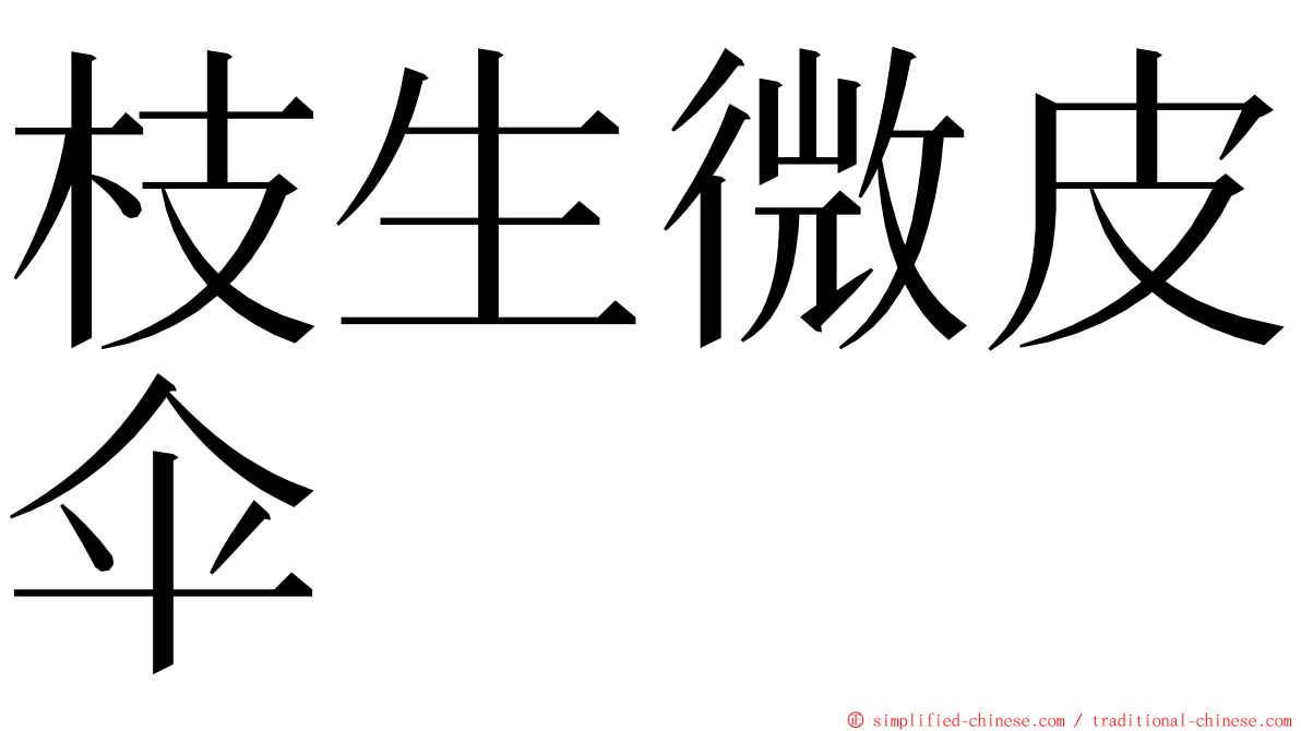 枝生微皮伞 ming font