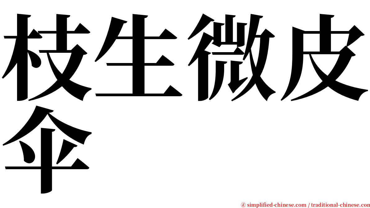 枝生微皮伞 serif font