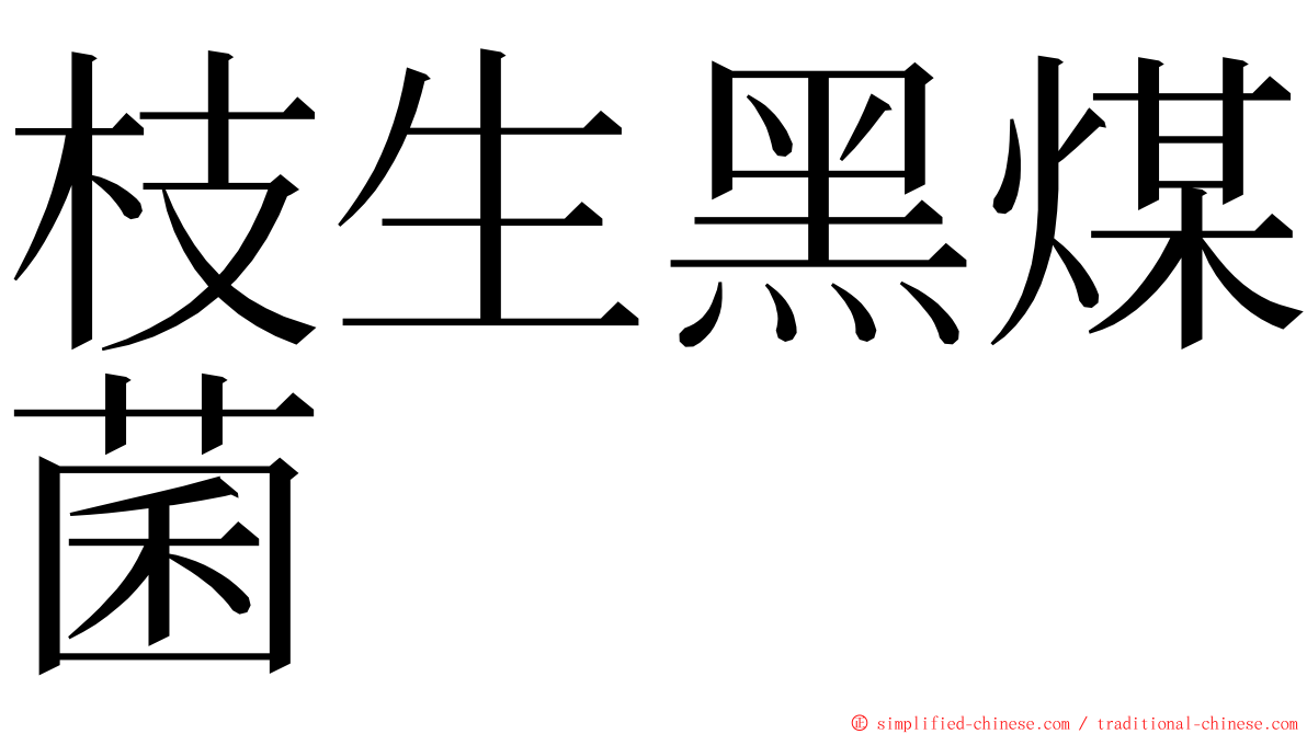 枝生黑煤菌 ming font