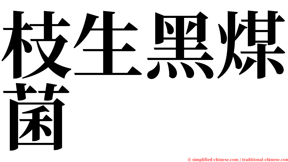 枝生黑煤菌 serif font