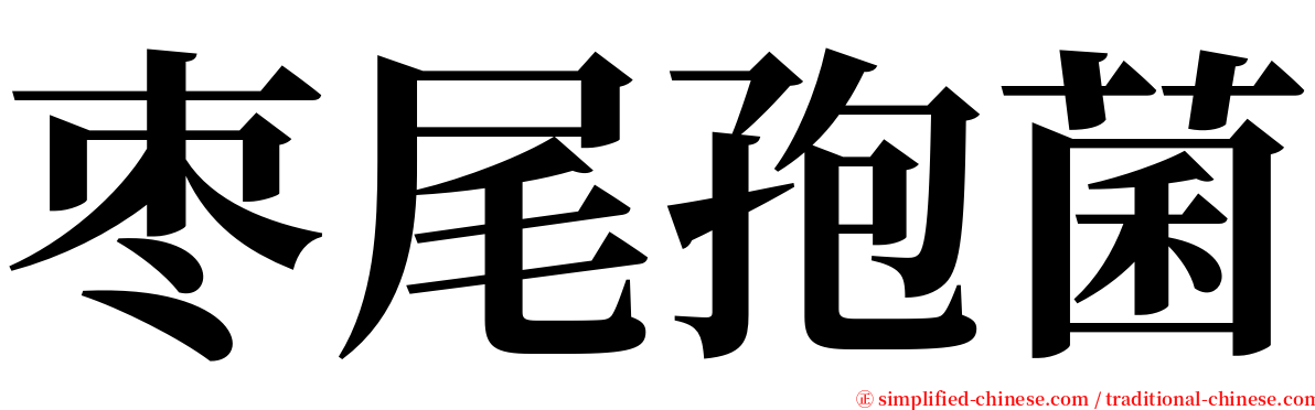 枣尾孢菌 serif font