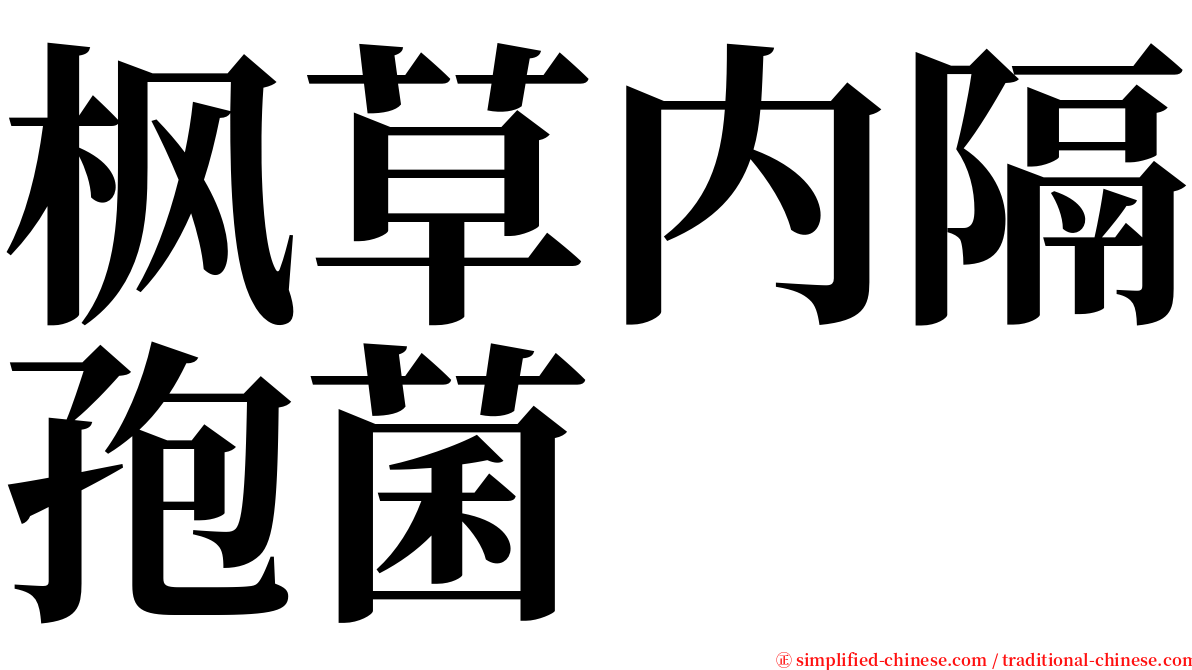 枫草内隔孢菌 serif font