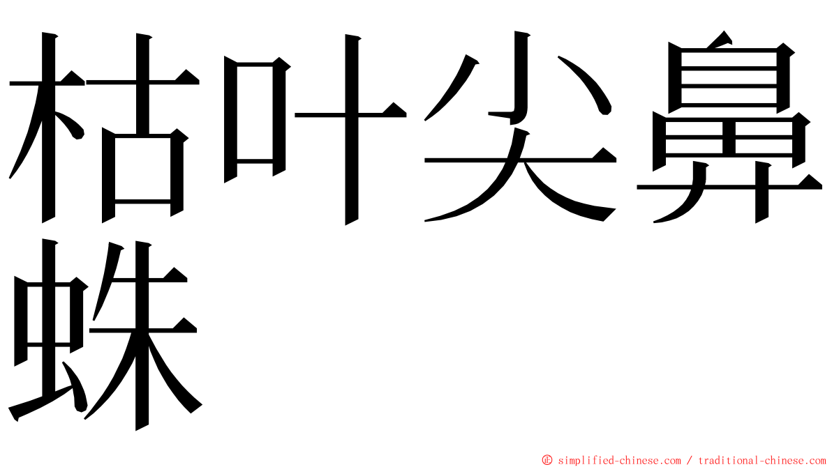 枯叶尖鼻蛛 ming font