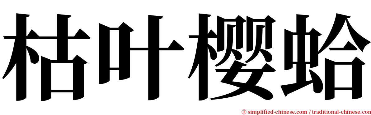 枯叶樱蛤 serif font