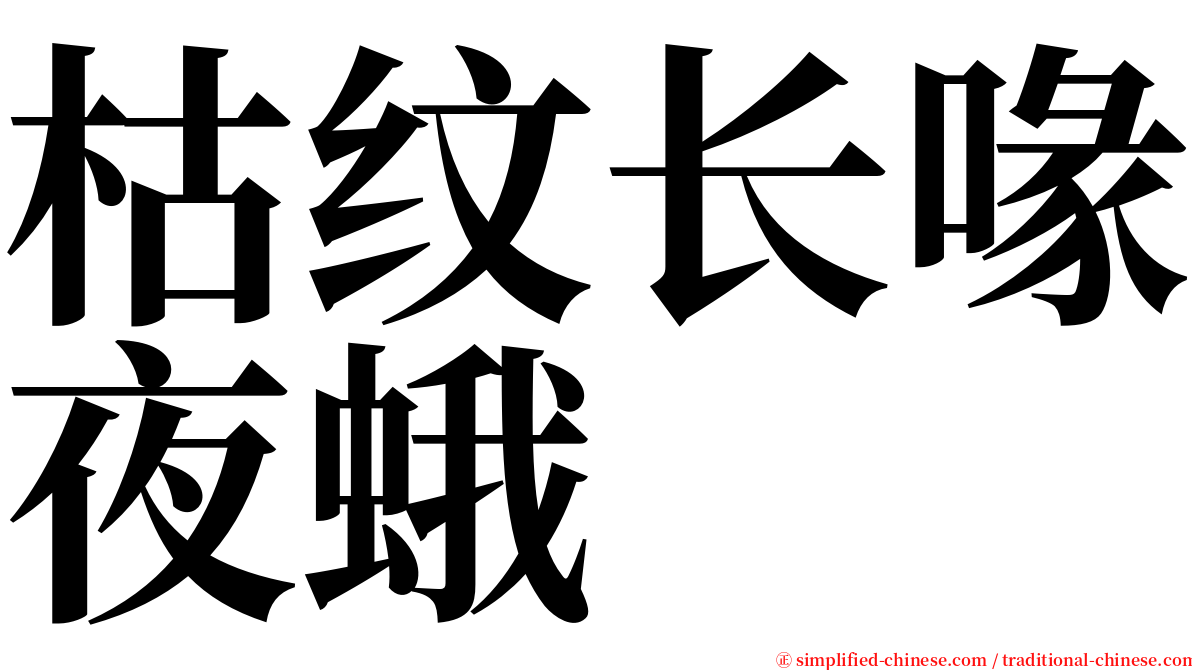 枯纹长喙夜蛾 serif font