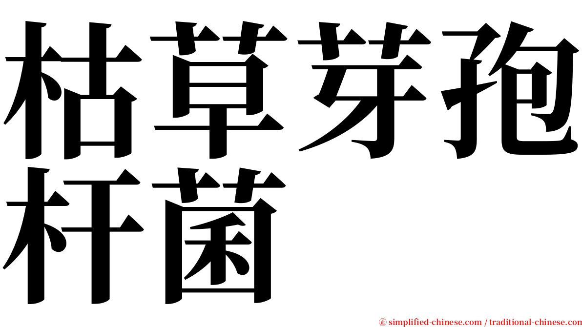 枯草芽孢杆菌 serif font