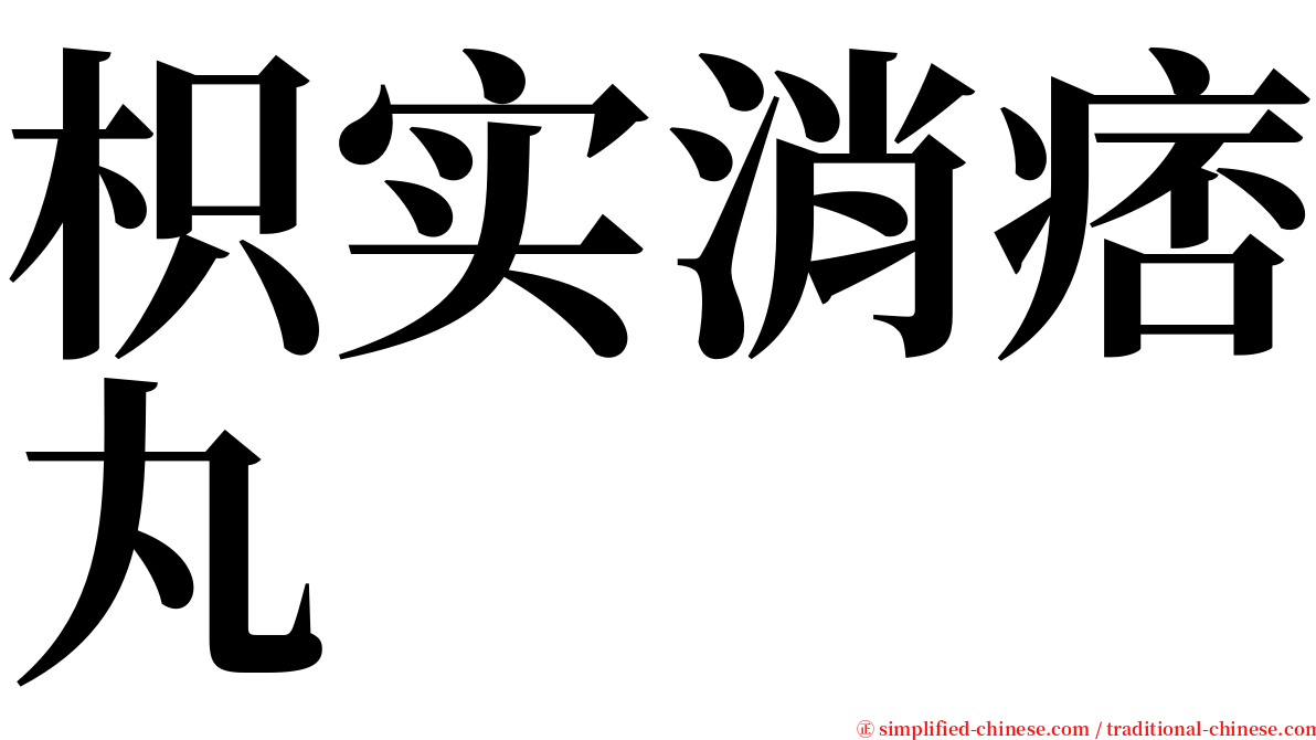 枳实消痞丸 serif font